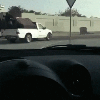 Moving Day GIF by memecandy