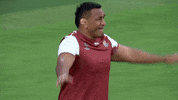 World Rugby Sport GIF by Rugby World Cup