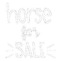 For Sale Horse Sticker