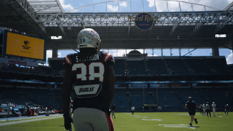 Football Nfl GIF by New England Patriots