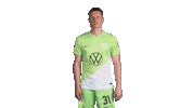 Happy Germany Sticker by VfL Wolfsburg