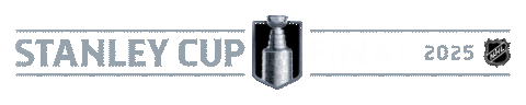 Happy National Hockey League Sticker by NHL