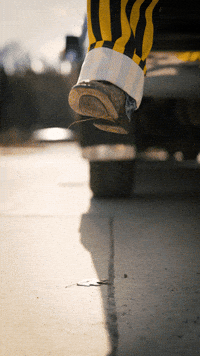 U Of I Potato GIF by University of Idaho