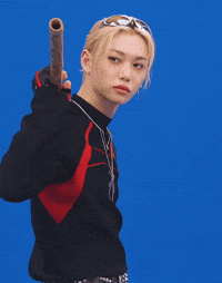 Stray Kids Skz GIF