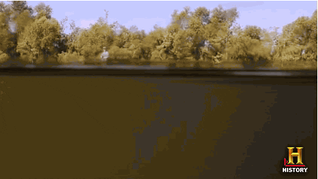 history rules GIF