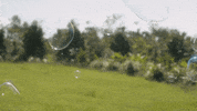 Melissa Mccarthy Wellness GIF by HULU