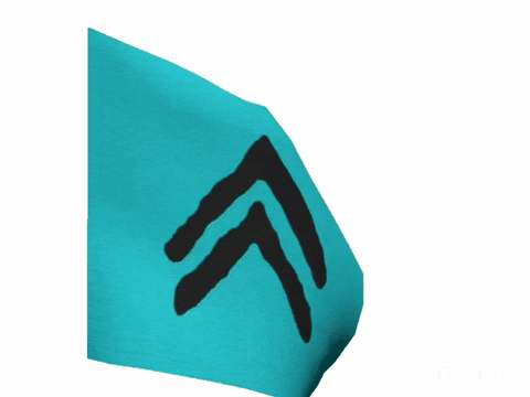 Flag Turk GIF