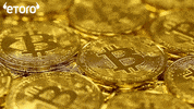 Bitcoins Buy Bitcoin GIF by eToro
