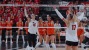 Ohio State Celebration GIF by Ohio State Athletics