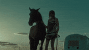 audiogram_ horse field champs cheval GIF