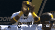 Happy Major League Baseball GIF by MLB