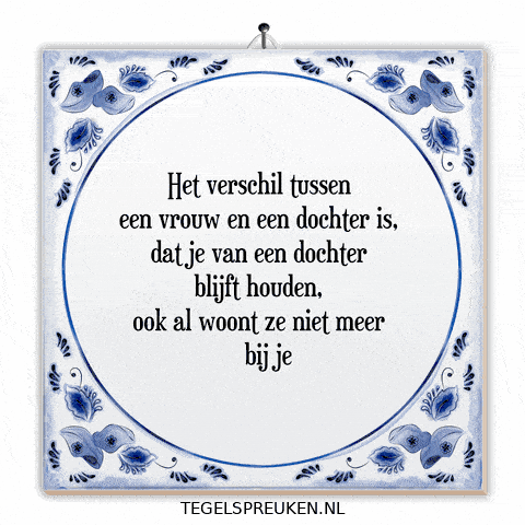 Humor Nl GIF by Tegelspreuken.nl