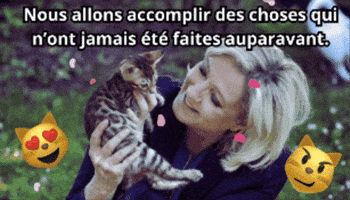 Le Pen Chat GIF