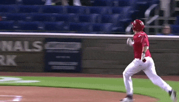 Congressional Baseball Game GIF by GIPHY News