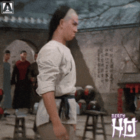 Martial Arts Reaction GIF by Arrow Video