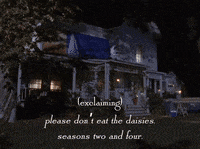 season 6 netflix GIF by Gilmore Girls 