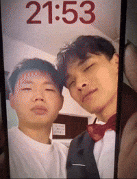 Dolphin Bromance GIF