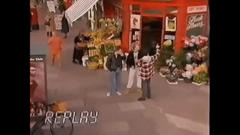 superowl65 giphygifmaker swfc GIF