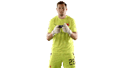 Football Sport Sticker by SK Slavia Praha