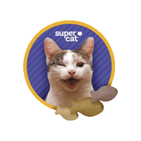 supercat_peru happy wink feliz gato Sticker