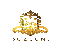Bordoni_be bordoni tommaso bordoni bordoni logo bordoni zoom Sticker