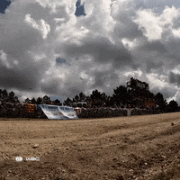Sport Driving GIF by FIA World Rally Championship