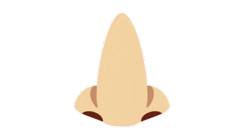 emojivid emoji people nose emojivid Sticker