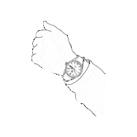 Omega Sticker by Watch Obsession