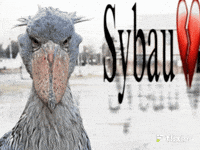 Instagram Shut Up GIF