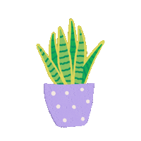 Animated Sticker