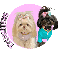 Sisters Day Sticker
