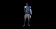Football No GIF by Detroit Lions