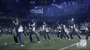 Halftime Show Football GIF by NFL