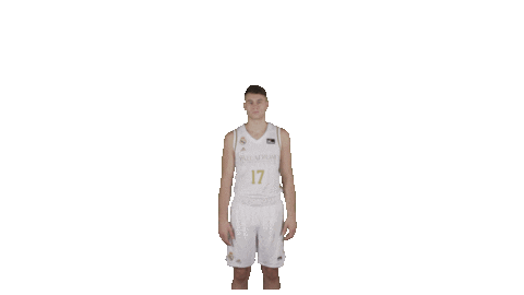 Real Madrid Basketball Sticker by ACB