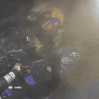 Im Out GIF by FIA World Rally Championship