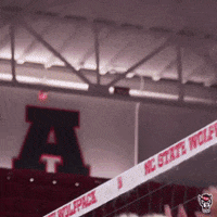 Block Reaction GIF by NC State Athletics
