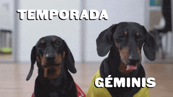 Temporada GΓ©minis