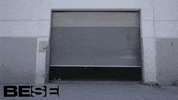 within reach gate GIF by BESE