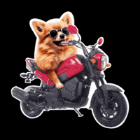 Navi Hondamotos GIF by Honda Motos Perú Oficial