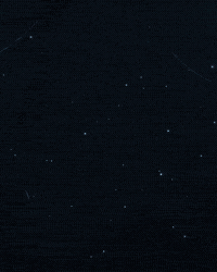 art loop GIF