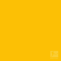 Kicking Borussia Dortmund GIF by Bundesliga