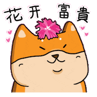 Doge Fortune Sticker