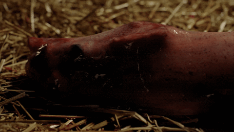 Alfonso Herrera GIF by The Exorcist FOX