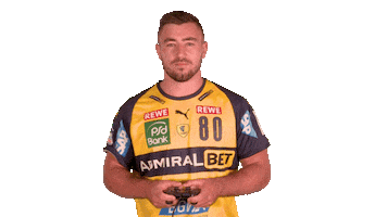 Handball-Bundesliga Fun Sticker by LIQUI MOLY HBL