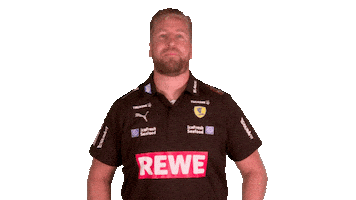 Handball-Bundesliga Fun Sticker by LIQUI MOLY HBL