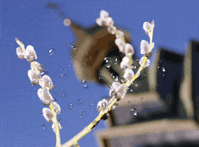 yaroslavastrutsynska giphyupload GIF