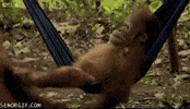 life ponders GIF