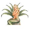 Sticker by Encantadora - The Art of Agave