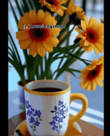 Flores Buenos Dias GIF by Murcianys LLC