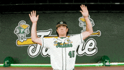 College Baseball Blake GIF by GreenWave